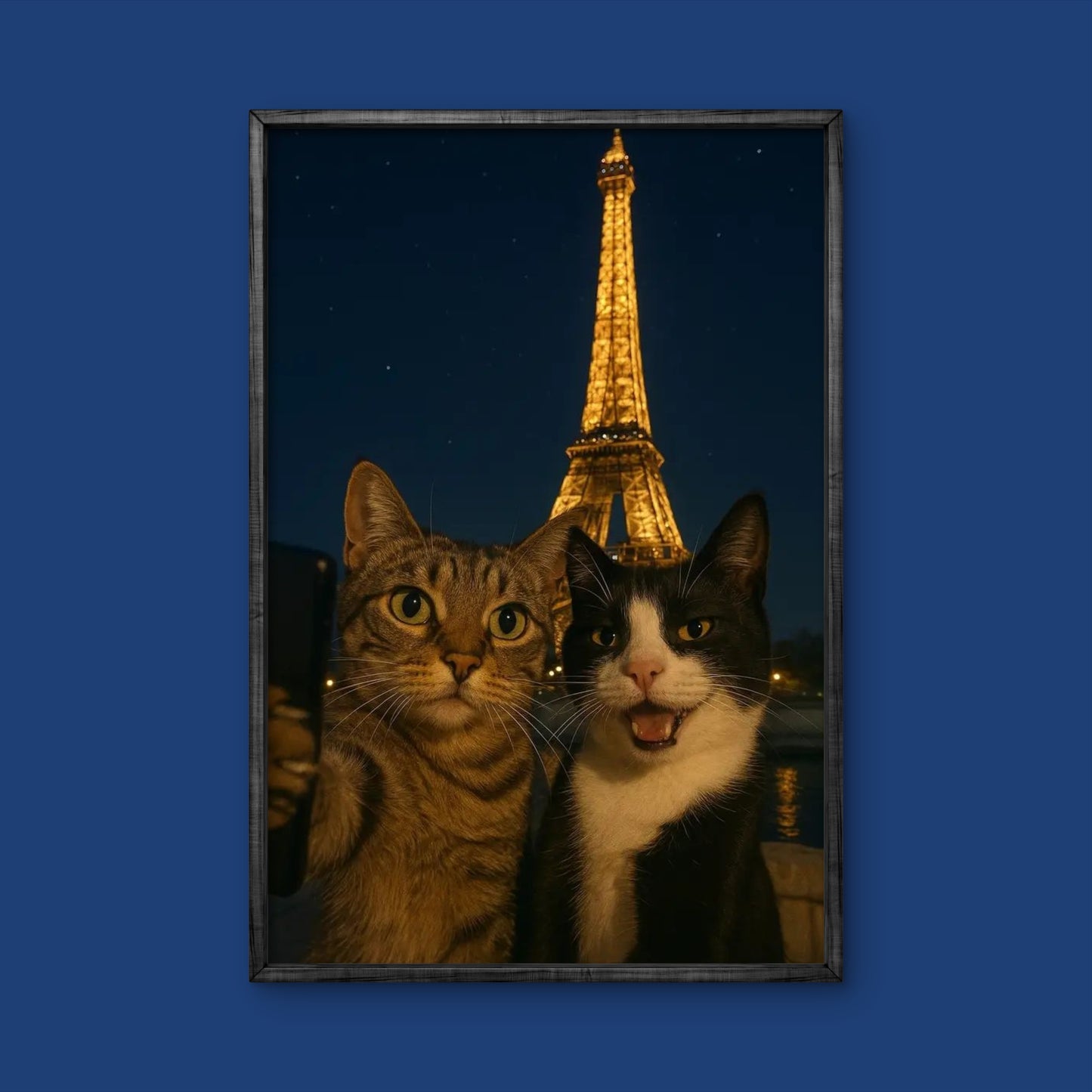 Katzen in Paris